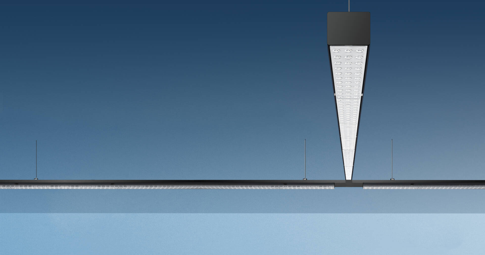 Dexter Eco Trunking System